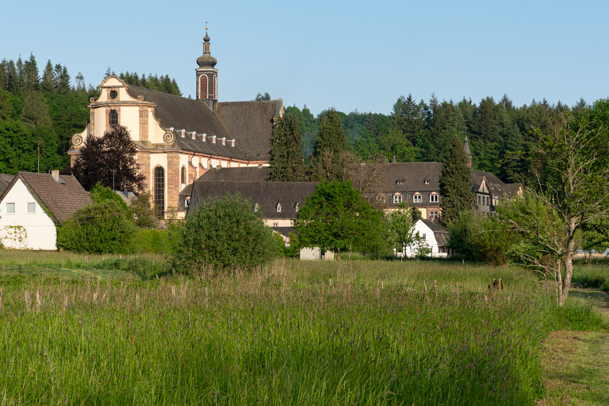 Blick vom Mühlenpfad auf die Abtei